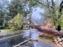 The recent nor’easter generated winds capable of downing large trees. [Mike Leger, N1YLQ, photo]